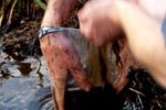 Survival Training